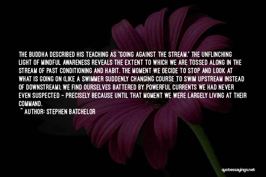 Stephen Batchelor Quotes 1510016