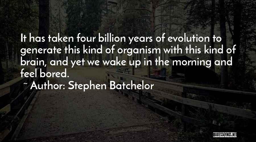Stephen Batchelor Quotes 1882558