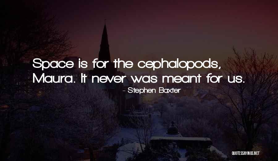 Stephen Baxter Quotes 1758407