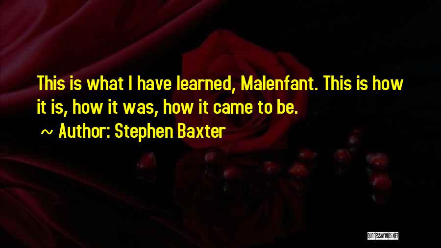 Stephen Baxter Quotes 79122