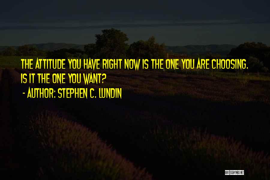 Stephen C. Lundin Quotes 217887