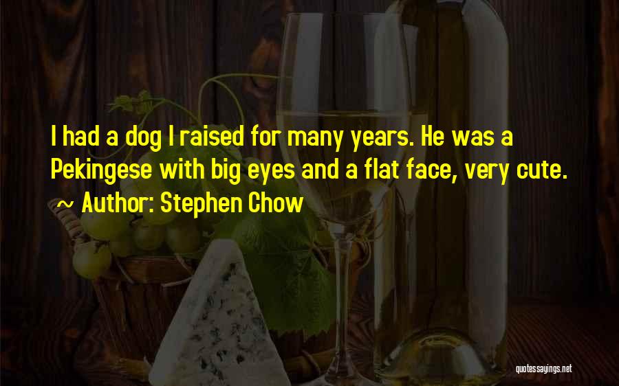 Stephen Chow Quotes 531285