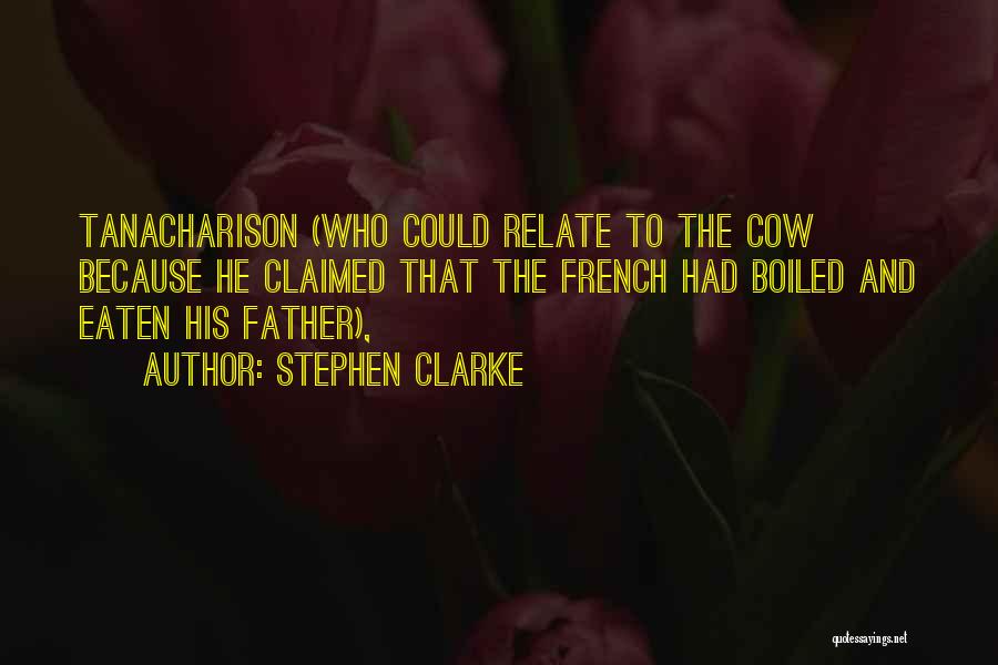 Stephen Clarke Quotes 1411329