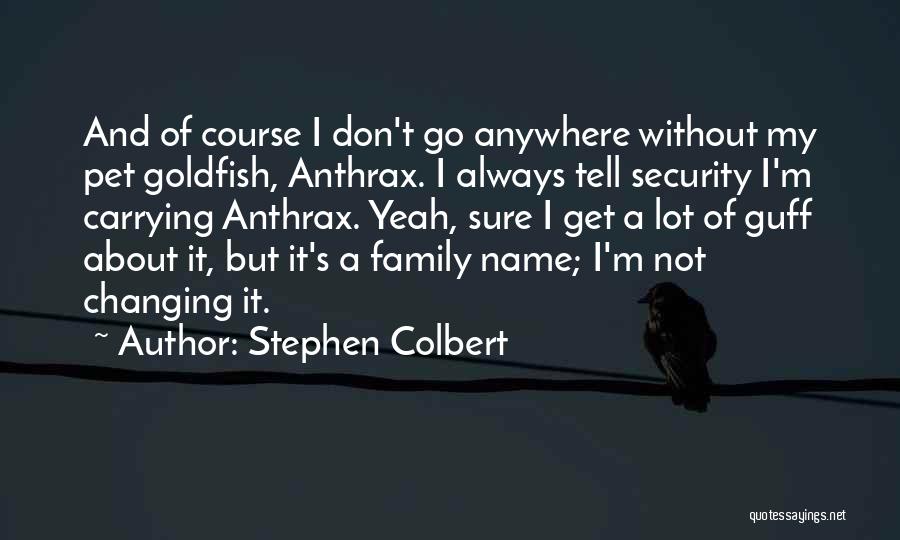 Stephen Colbert Quotes 866383