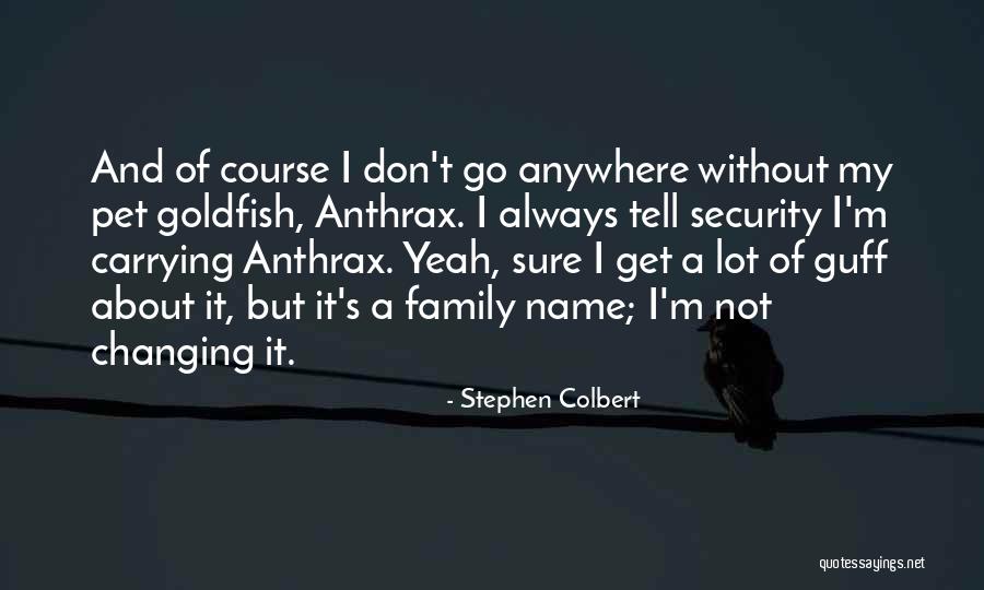 Stephen Colbert Quotes 866383