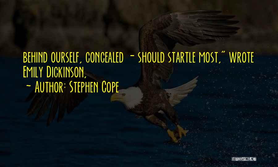 Stephen Cope Quotes 1450908