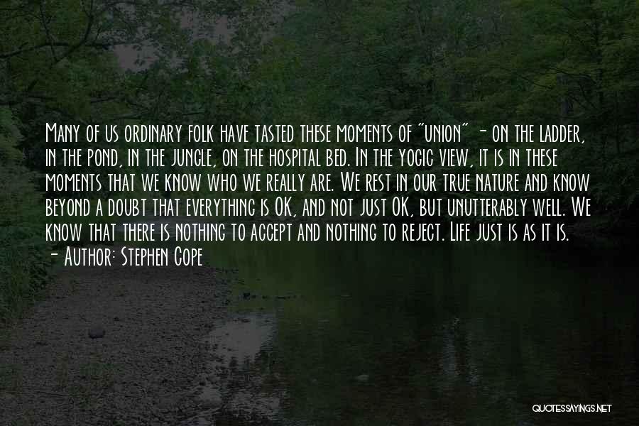 Stephen Cope Quotes 904729