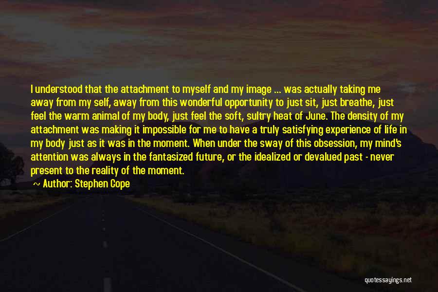 Stephen Cope Quotes 957428