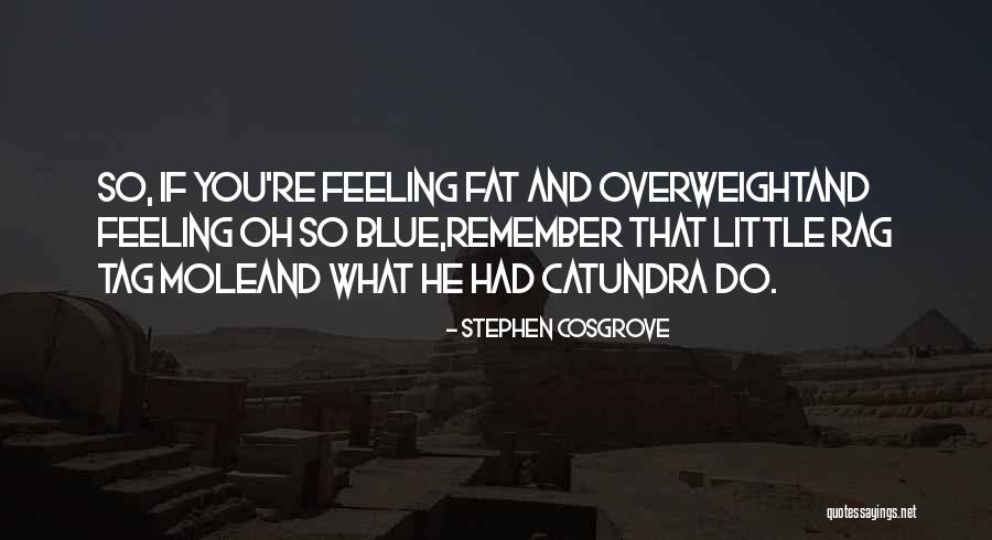 Stephen Cosgrove Quotes 1162257