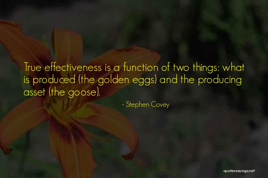 Stephen Covey Quotes 1346226