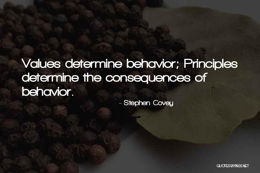 Stephen Covey Quotes 1976749