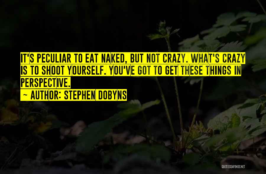 Stephen Dobyns Quotes 1867375