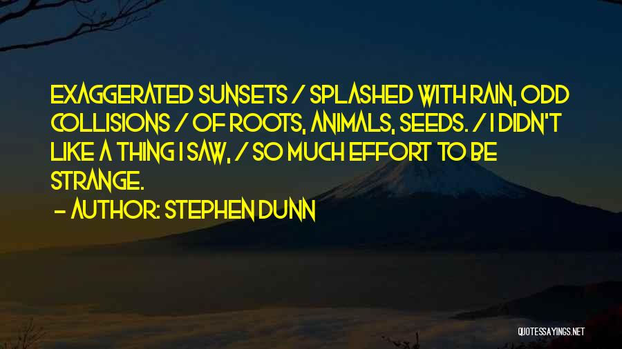 Stephen Dunn Quotes 1107590