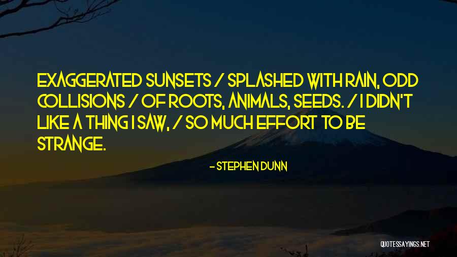 Stephen Dunn Quotes 1107590