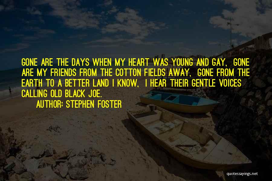 Stephen Foster Quotes 573227