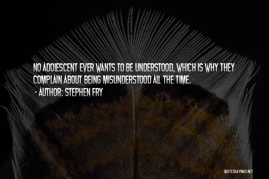 Stephen Fry Quotes 1203871