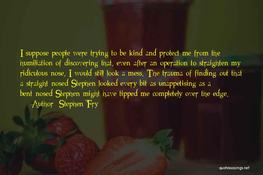 Stephen Fry Quotes 1513166