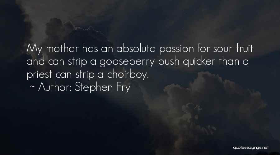 Stephen Fry Quotes 2256209