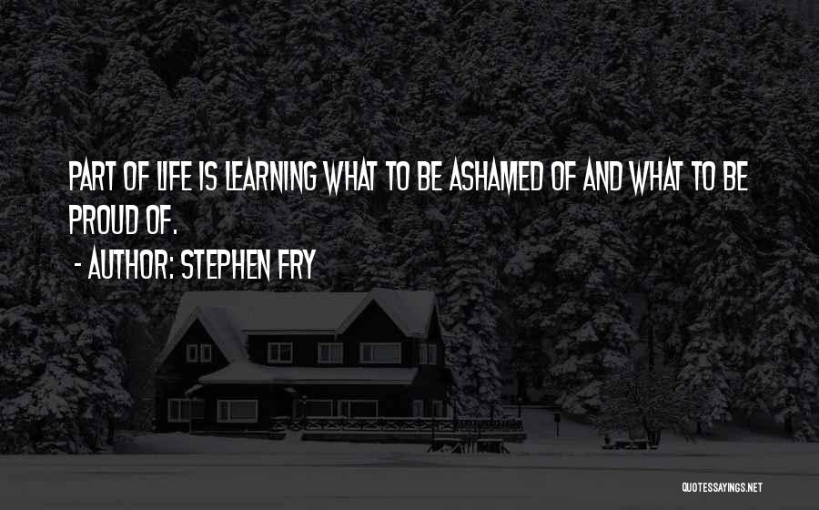 Stephen Fry Quotes 318645