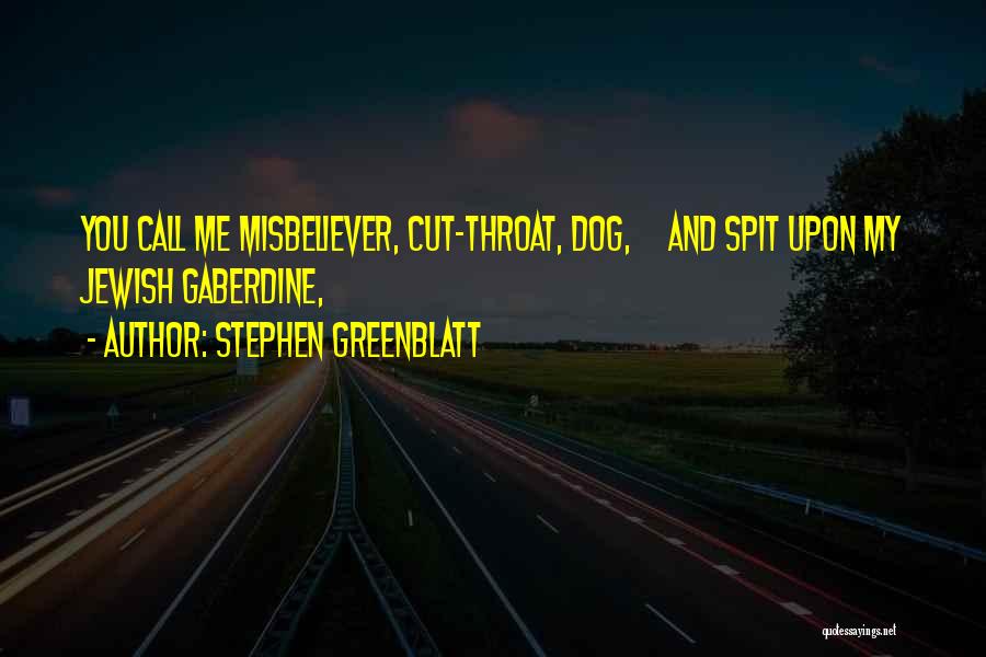 Stephen Greenblatt Quotes 786841