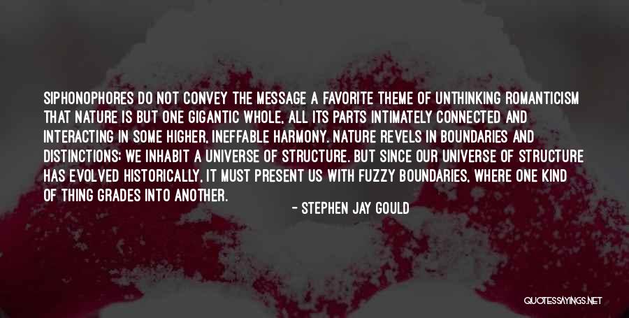 Stephen Jay Gould Quotes 1106001