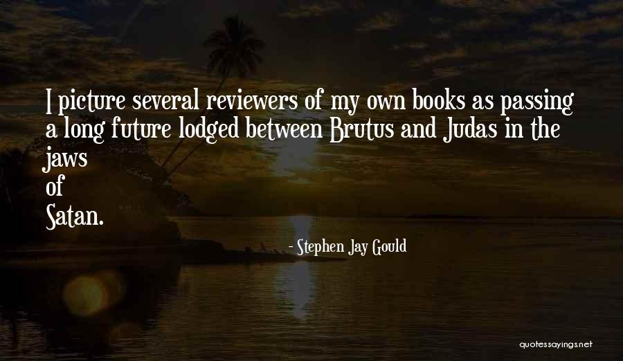 Stephen Jay Gould Quotes 1358733