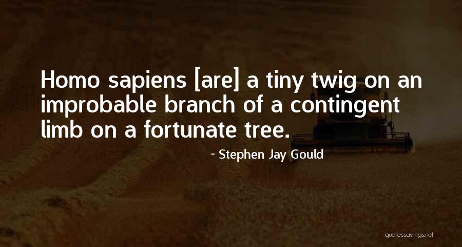 Stephen Jay Gould Quotes 1466437