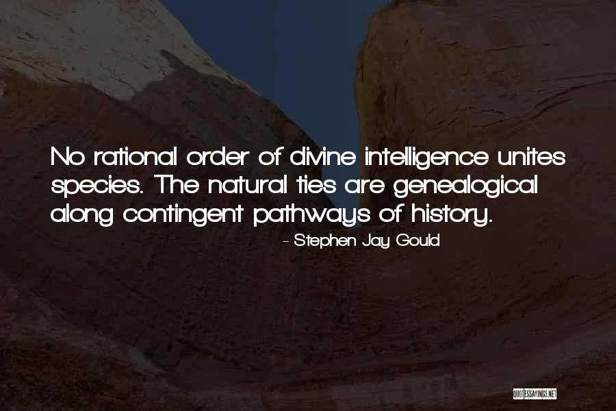 Stephen Jay Gould Quotes 1619179