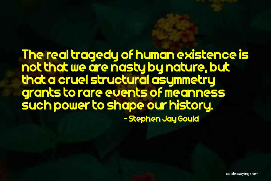 Stephen Jay Gould Quotes 2015748