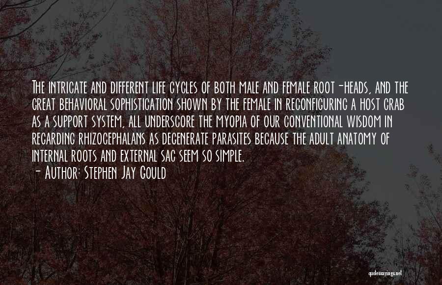 Stephen Jay Gould Quotes 963855