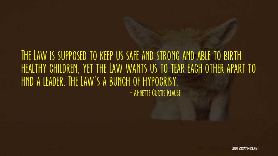 Stephen King Dark Tower Final Quotes By Annette Curtis Klause Stephen King Dark Tower Final Quotes By Annette Curtis Klause