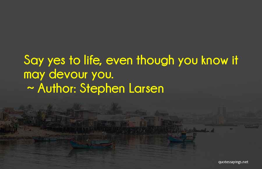 Stephen Larsen Quotes 2055028