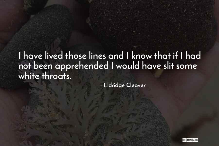 Stephen Lecce Quotes By Eldridge Cleaver Stephen Lecce Quotes By Eldridge Cleaver