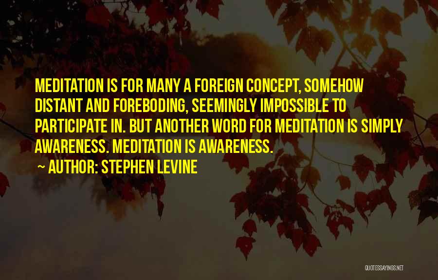 Stephen Levine Quotes 1071200