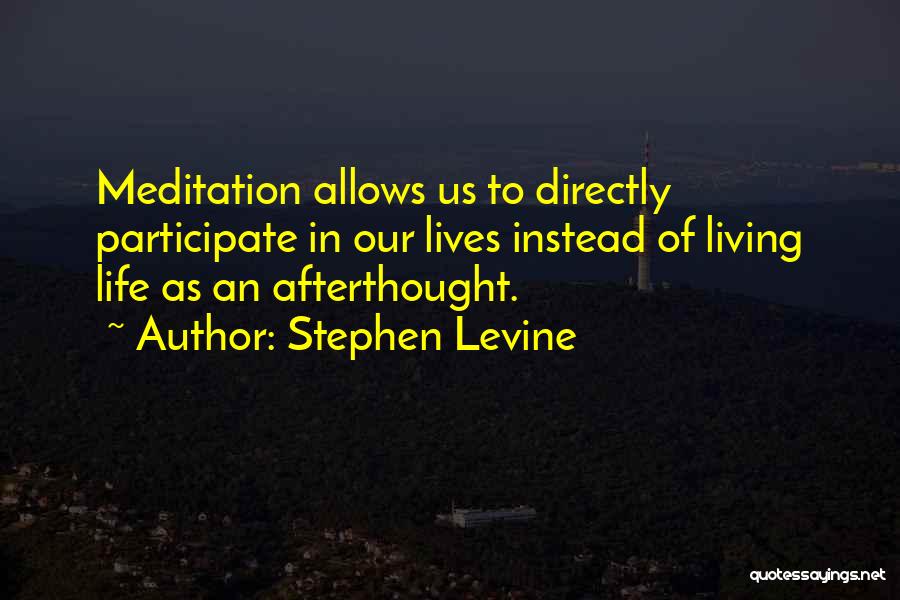 Stephen Levine Quotes 1079330