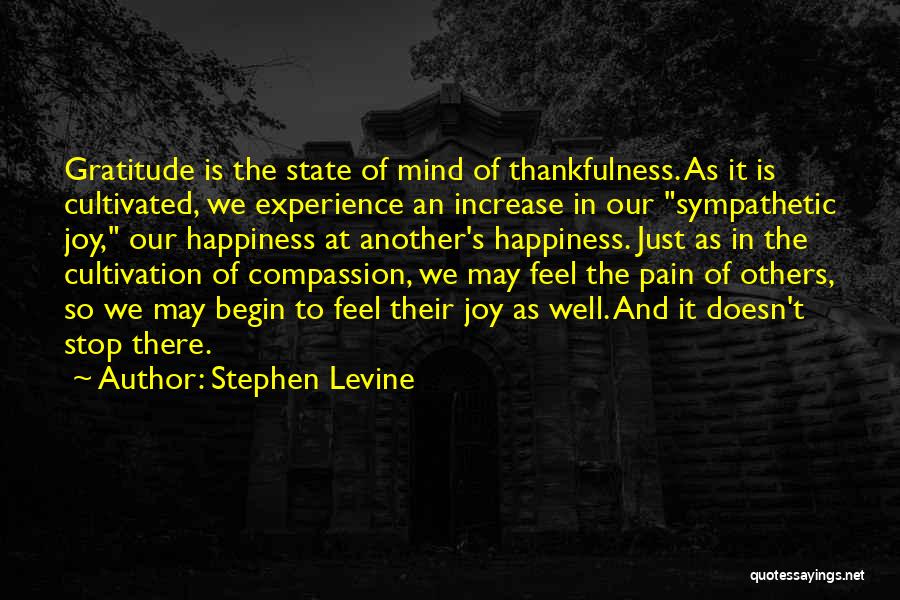 Stephen Levine Quotes 1167860