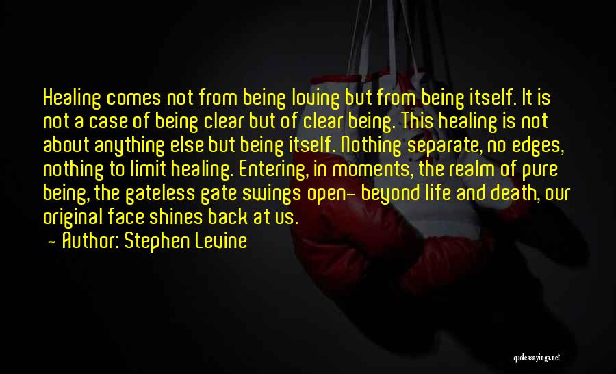Stephen Levine Quotes 1202654