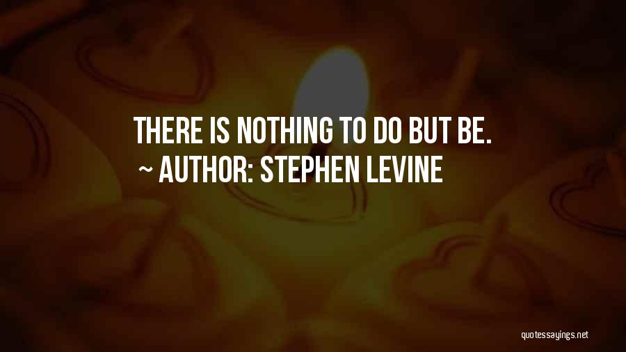 Stephen Levine Quotes 1281363