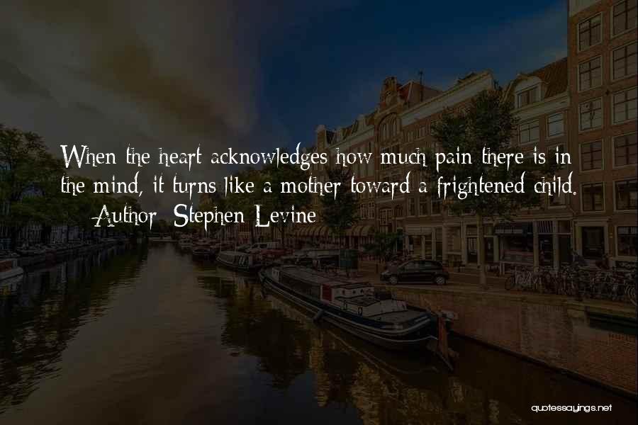 Stephen Levine Quotes 1293245