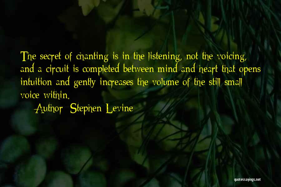 Stephen Levine Quotes 1481570