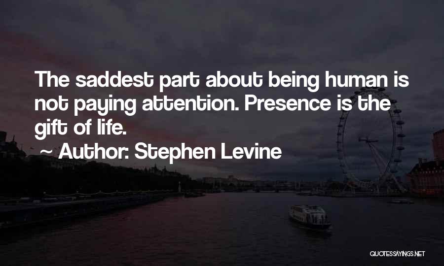Stephen Levine Quotes 1531397