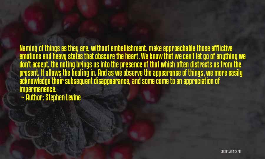 Stephen Levine Quotes 1574570