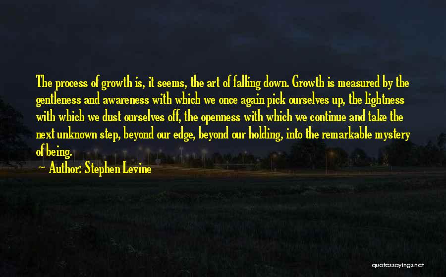 Stephen Levine Quotes 1576298