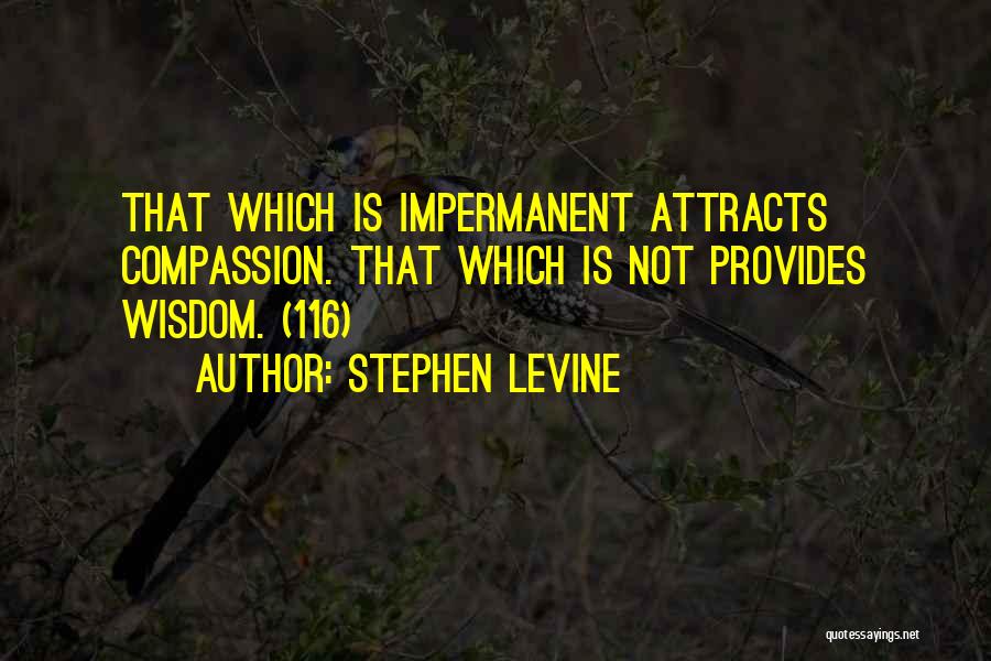 Stephen Levine Quotes 1626696