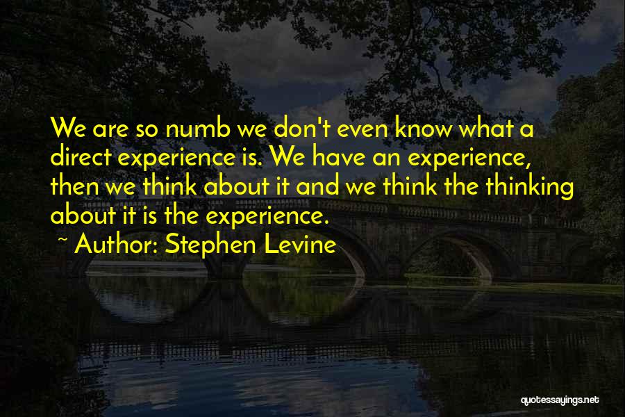 Stephen Levine Quotes 1690636