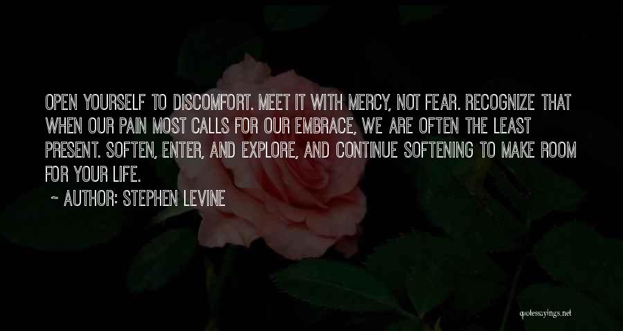 Stephen Levine Quotes 1745395