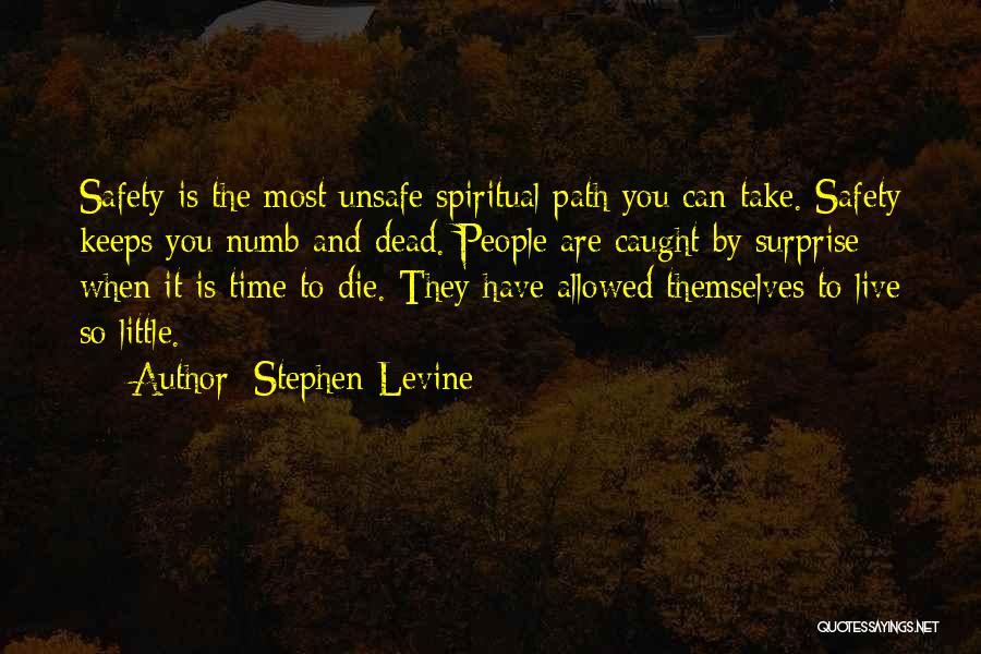 Stephen Levine Quotes 1766294