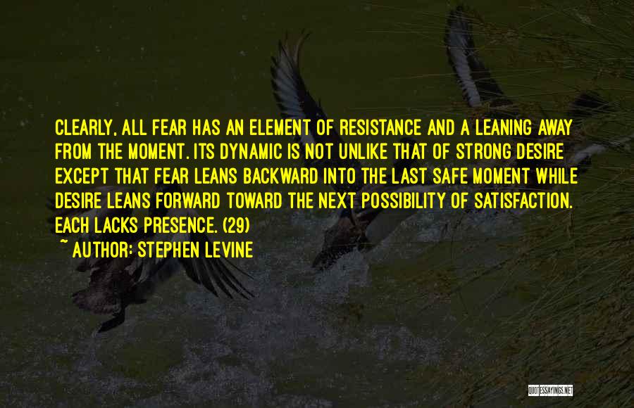 Stephen Levine Quotes 1792960