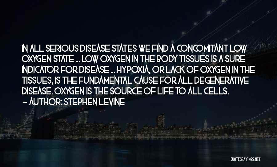Stephen Levine Quotes 1836729
