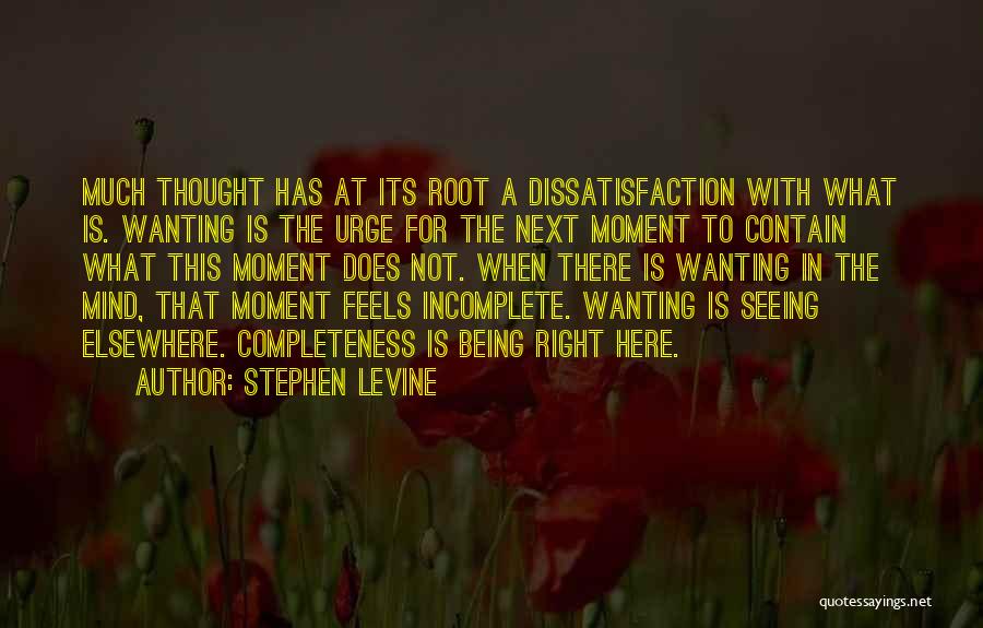 Stephen Levine Quotes 1881772